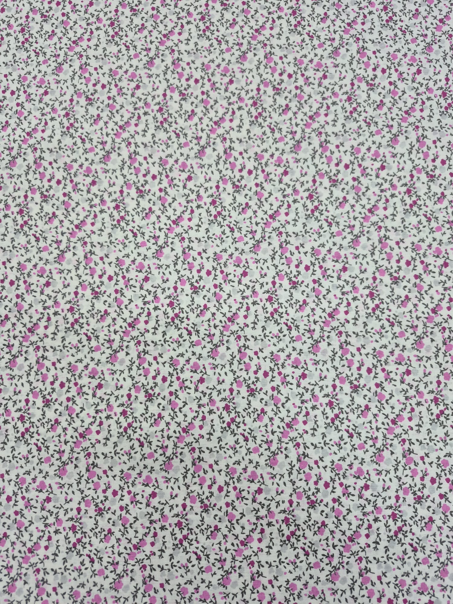 WhatsApp Image 2025-07-31 at 16.42.36 (1)