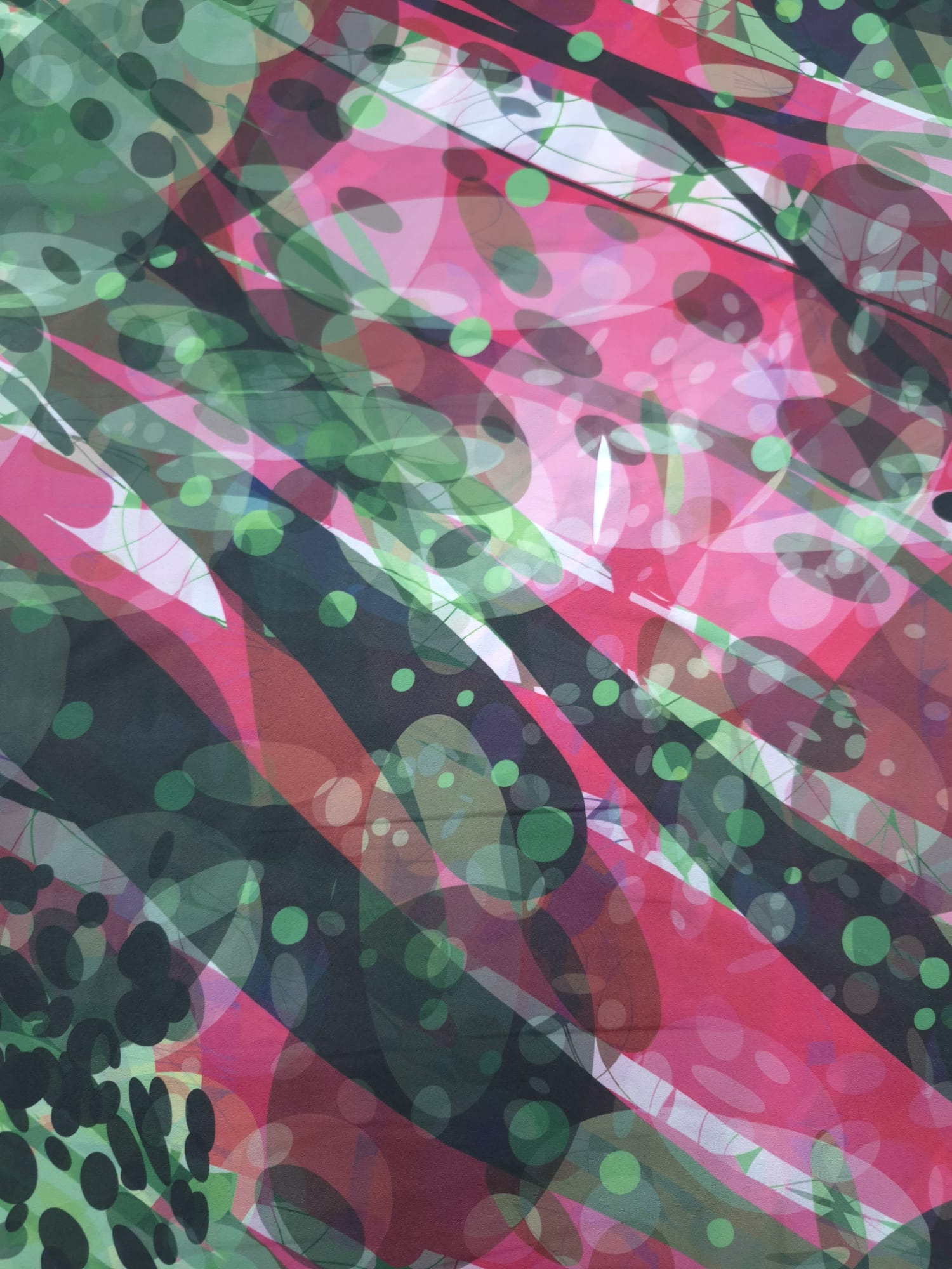 WhatsApp Image 2025-08-05 at 12.17.18 (1)