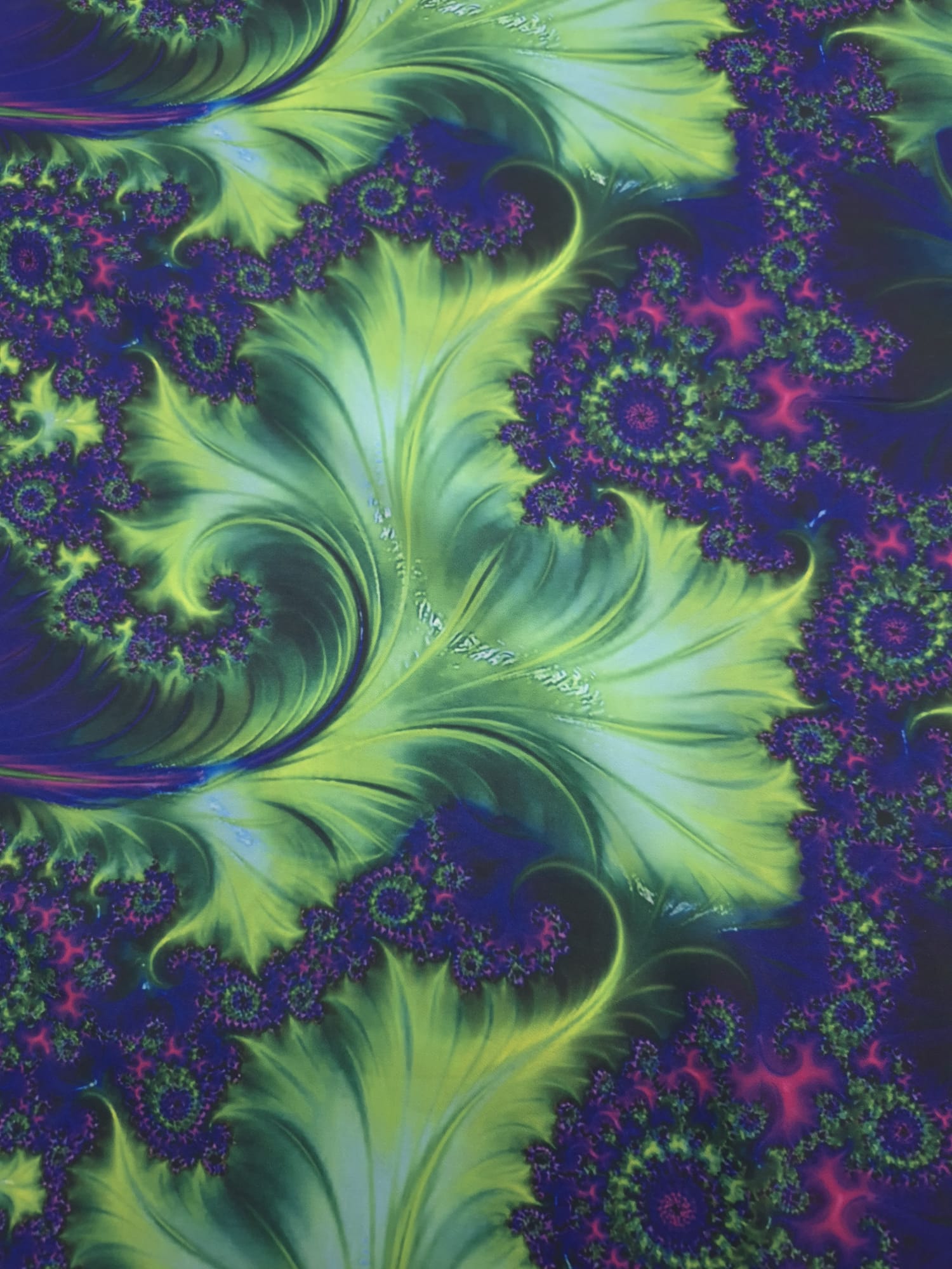 WhatsApp Image 2025-08-05 at 12.17.24 (2)