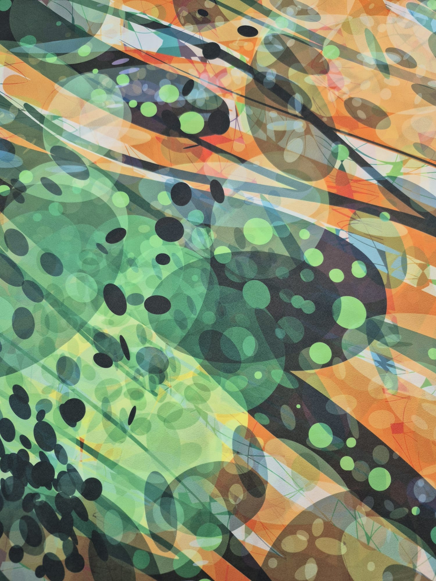 WhatsApp Image 2025-08-05 at 12.17.30 (3)