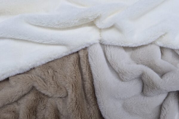 WhatsApp Image 2025-10-29 at 15.19.26