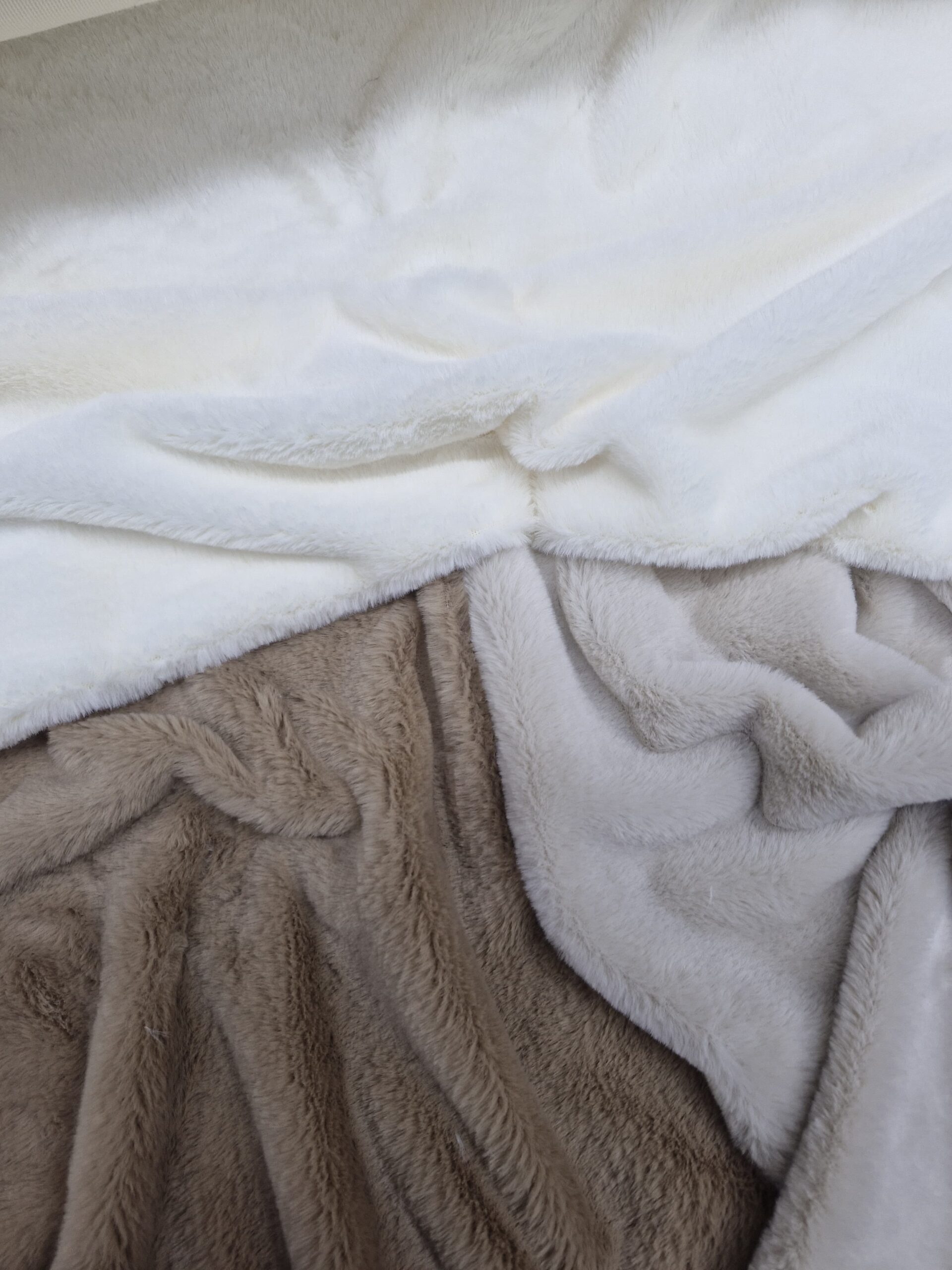 WhatsApp Image 2025-10-29 at 15.19.26