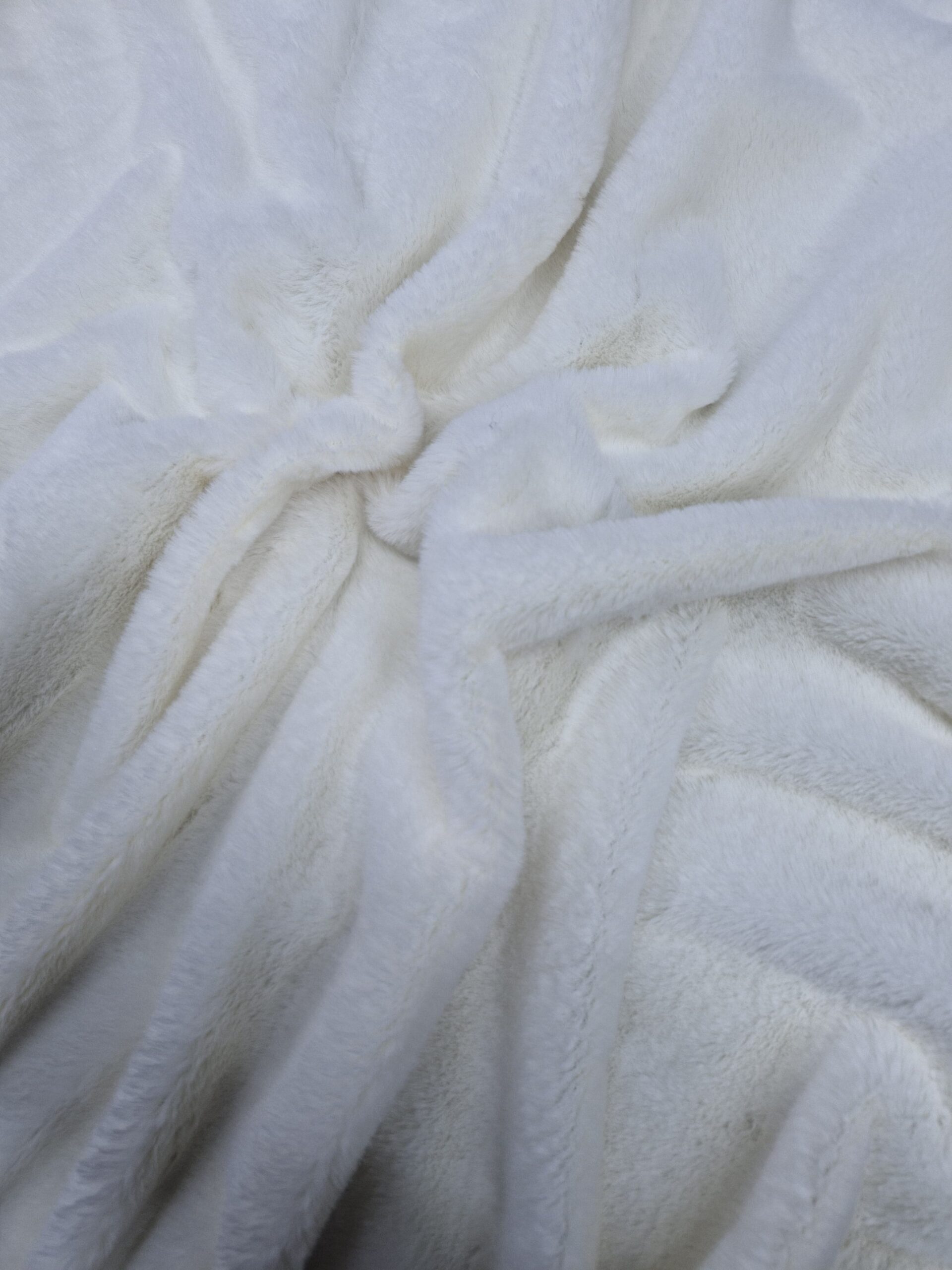 WhatsApp Image 2025-10-29 at 15.19.39